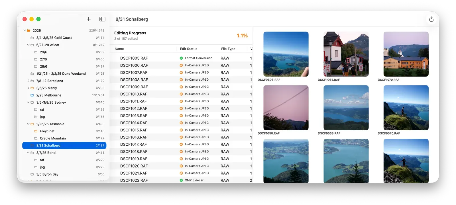 Rollganizer showing editing progress across photo folders